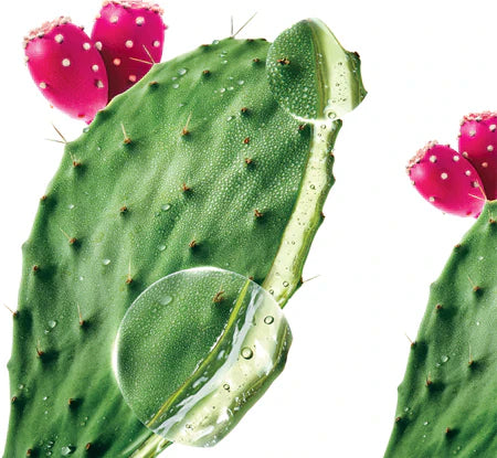Klorane Prickly Pear Thirst-Quenching Shampoo